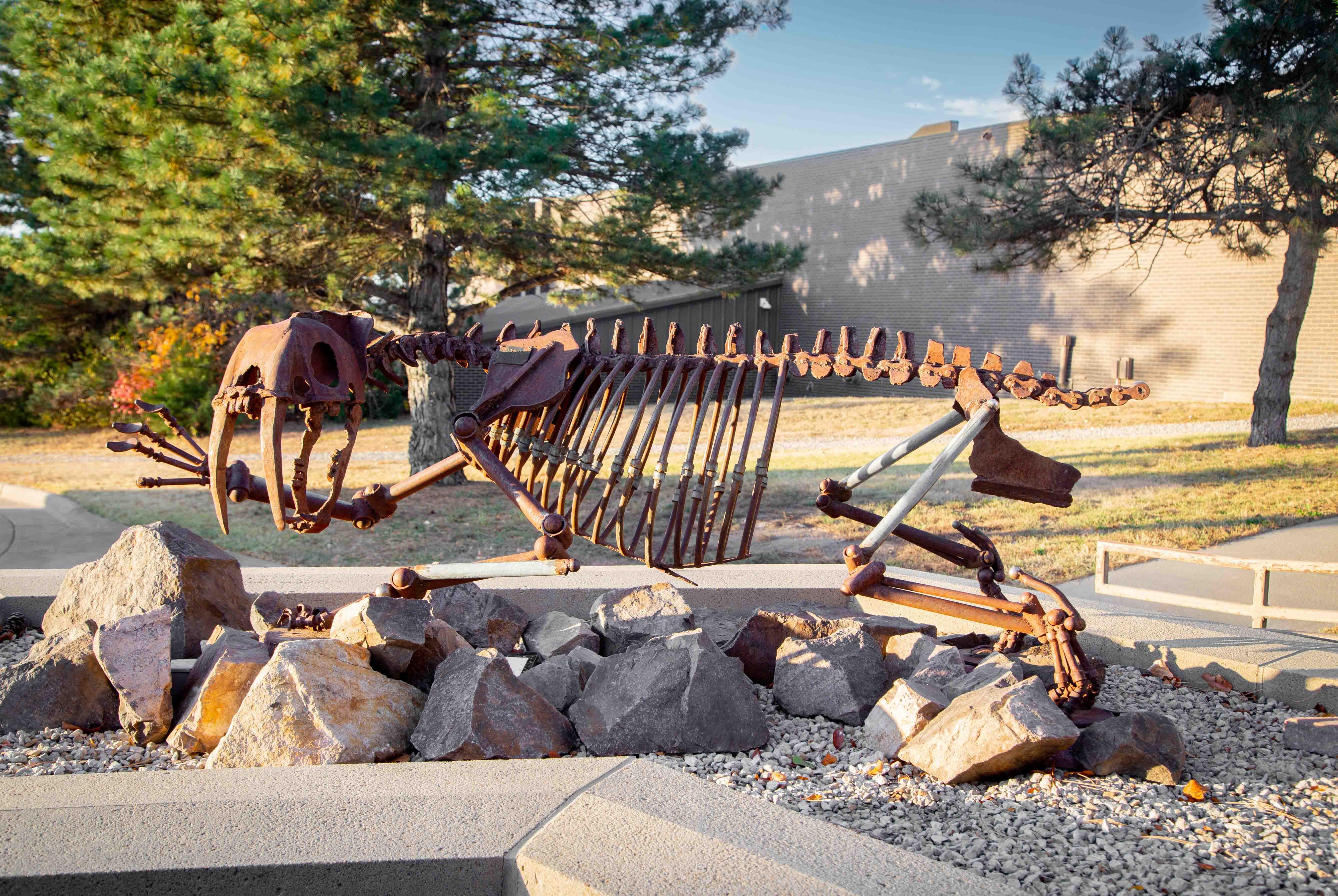 metal sculpture of a sabretooth cat